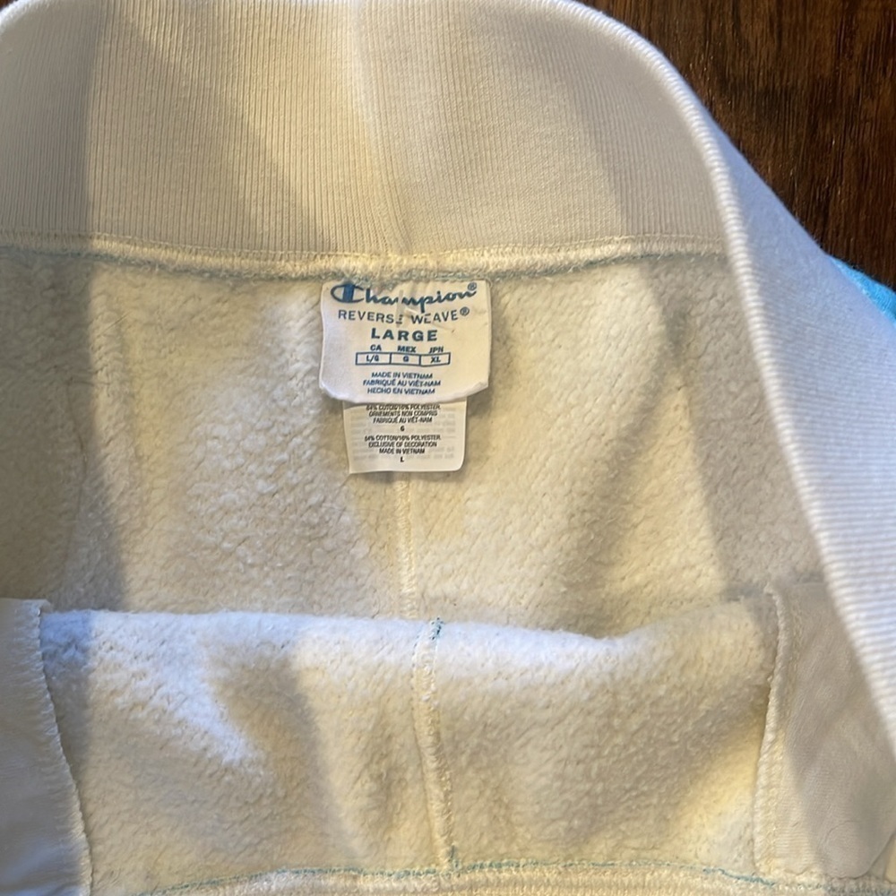 Champion x Urban Outfitters Reverse Weave Striped Joggers - size Large - Picture 10 of 13